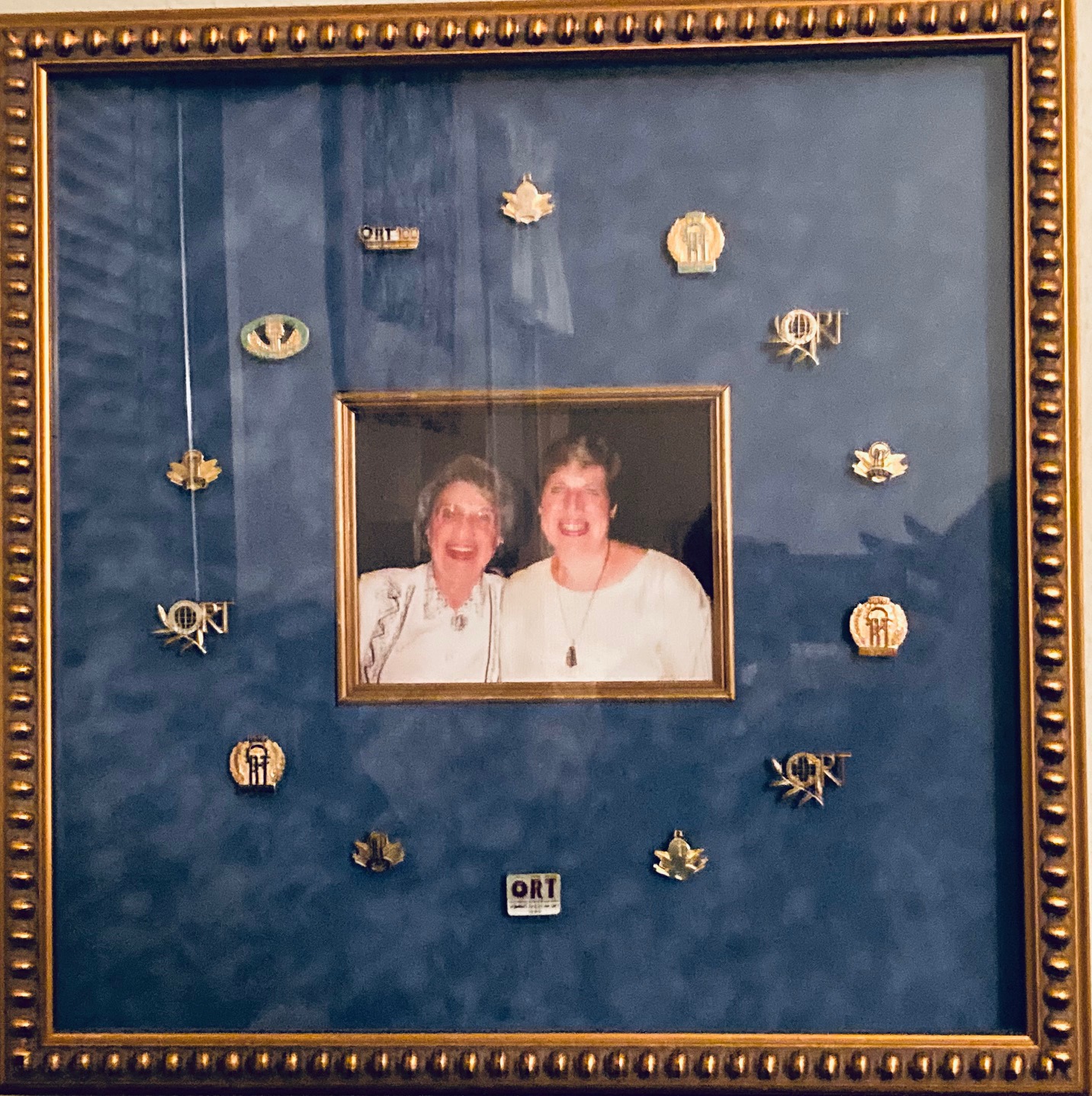 Judy Adelman Pins