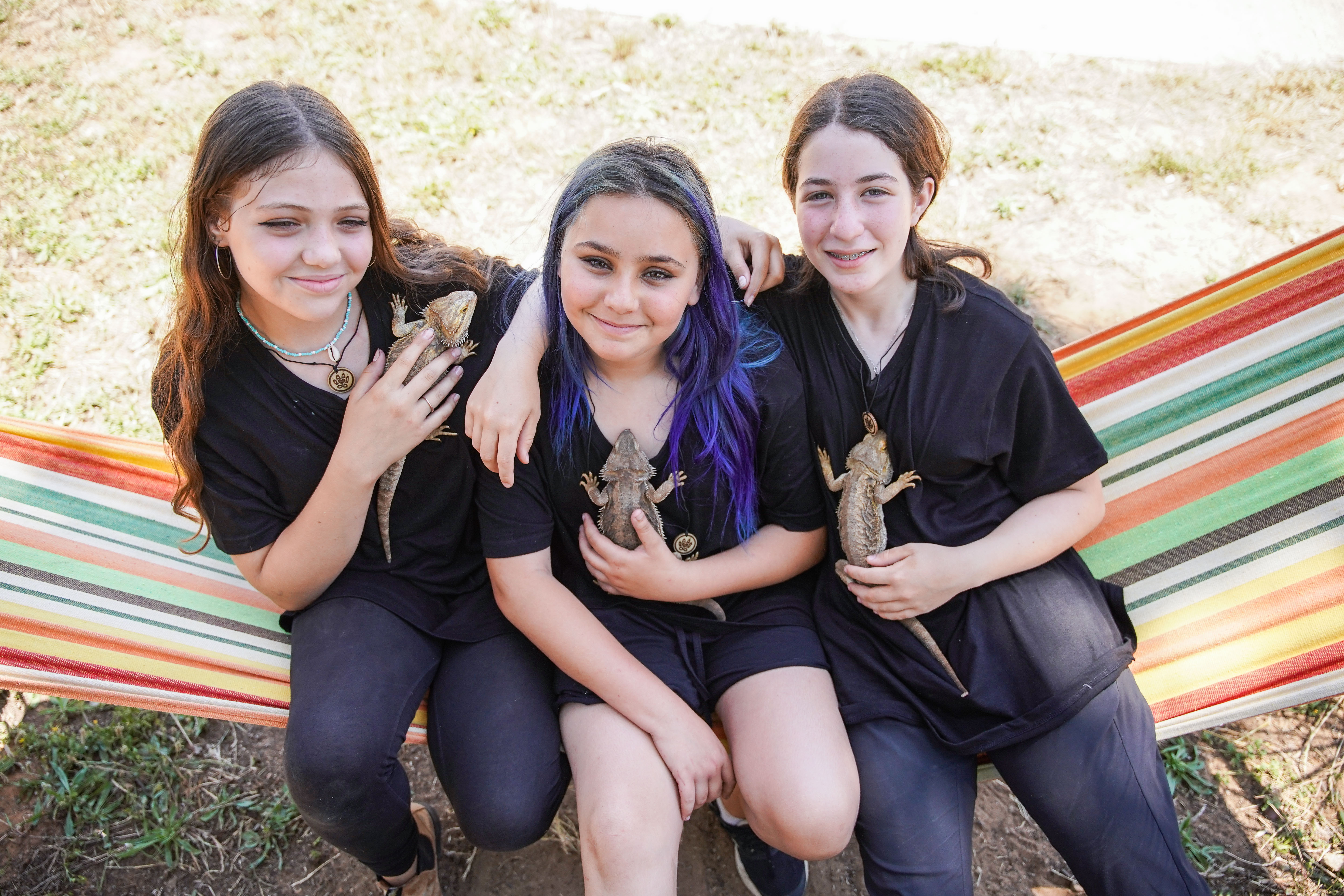 Kfar Silver rescue animals